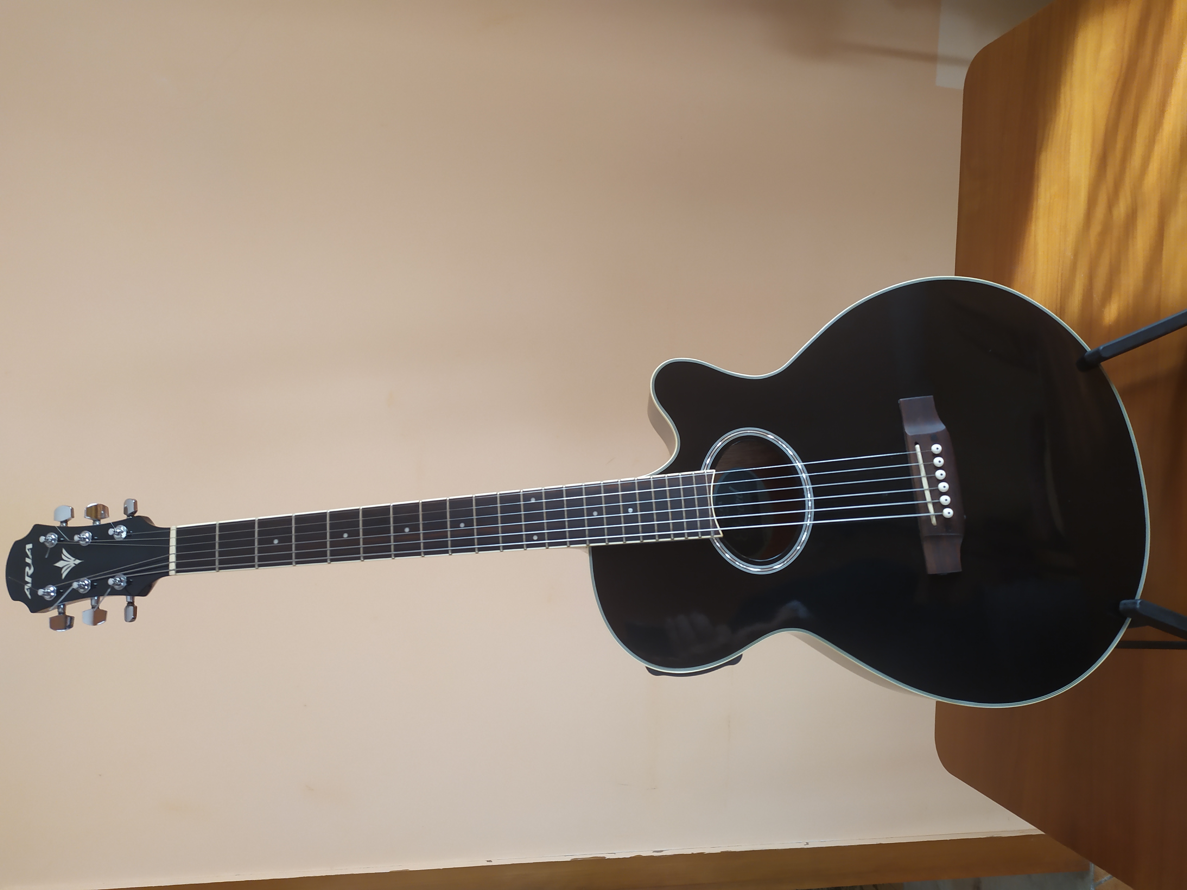 Chitarra ARIA ELECORD nera